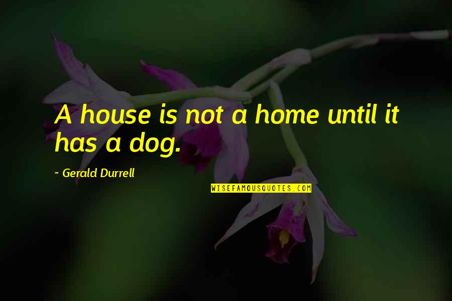 A House Is Not A Home Without A Dog Quotes By Gerald Durrell: A house is not a home until it