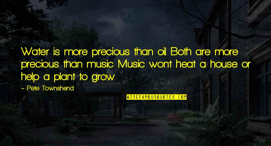 A House Is Quotes By Pete Townshend: Water is more precious than oil. Both are