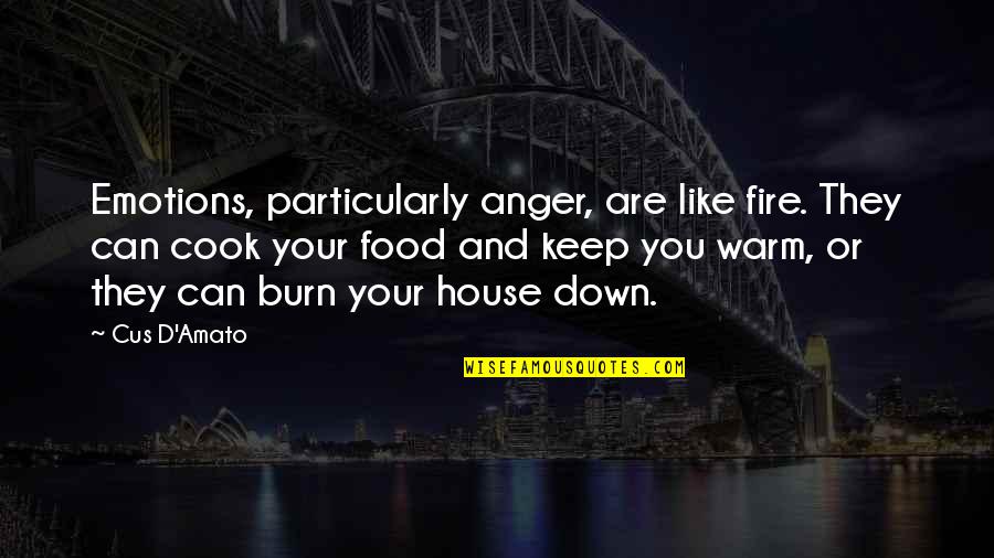 A House On Fire Quotes By Cus D'Amato: Emotions, particularly anger, are like fire. They can