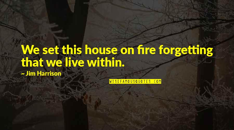 A House On Fire Quotes By Jim Harrison: We set this house on fire forgetting that