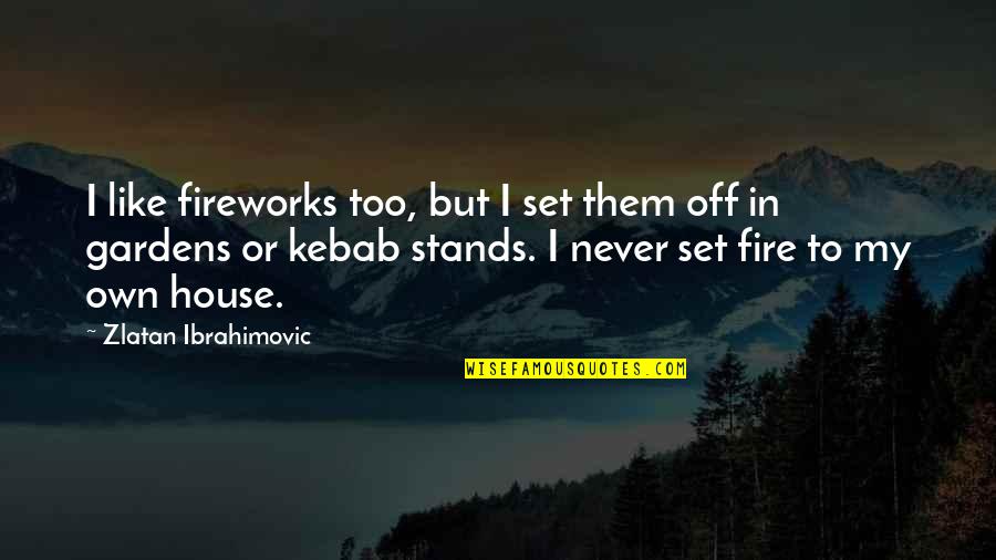 A House On Fire Quotes By Zlatan Ibrahimovic: I like fireworks too, but I set them