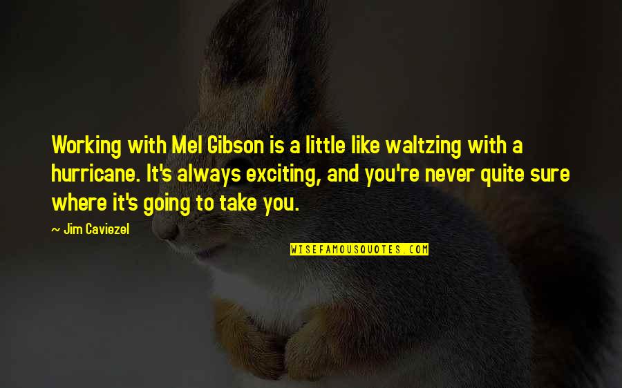 A Hurricane Quotes By Jim Caviezel: Working with Mel Gibson is a little like A Hurricane Quotes By Jim Caviezel: Working with Mel Gibson is a little like