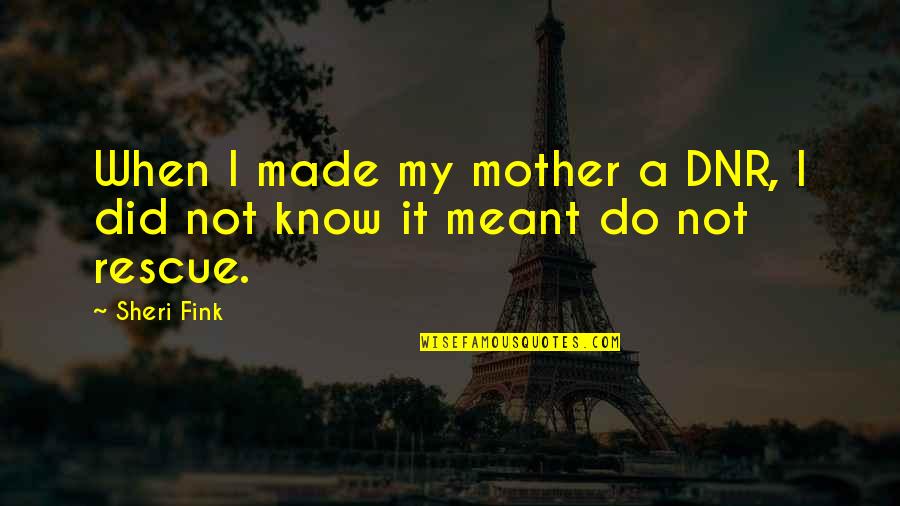 A Hurricane Quotes By Sheri Fink: When I made my mother a DNR, I