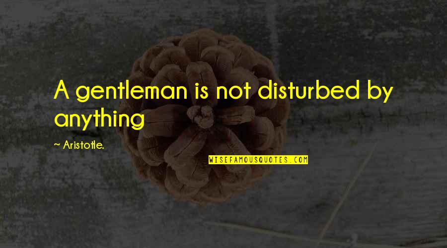A Husband Neglecting His Wife Quotes By Aristotle.: A gentleman is not disturbed by anything