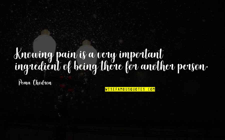 A Important Person Quotes By Pema Chodron: Knowing pain is a very important ingredient of