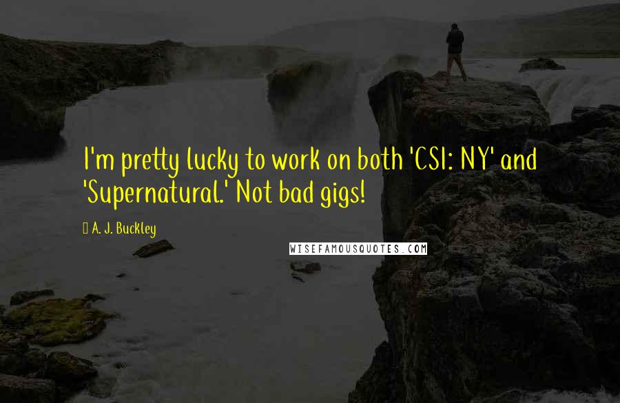 A. J. Buckley quotes: I'm pretty lucky to work on both 'CSI: NY' and 'Supernatural.' Not bad gigs!