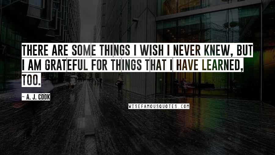 A. J. Cook quotes: There are some things I wish I never knew, but I am grateful for things that I have learned, too.