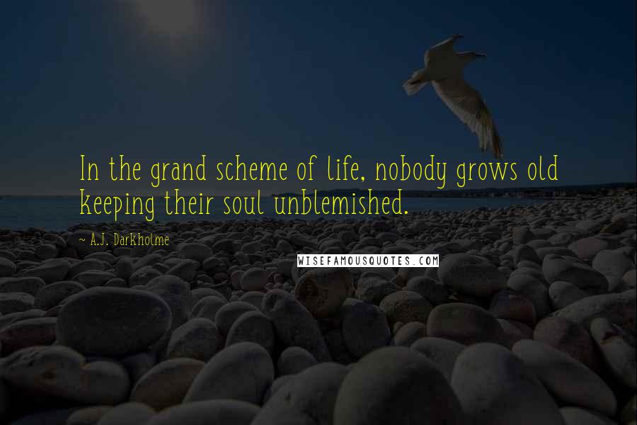 A.J. Darkholme quotes: In the grand scheme of life, nobody grows old keeping their soul unblemished.