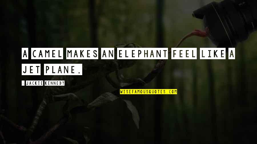 A Jet Plane Quotes By Jackie Kennedy: A camel makes an elephant feel like a A Jet Plane Quotes By Jackie Kennedy: A camel makes an elephant feel like a