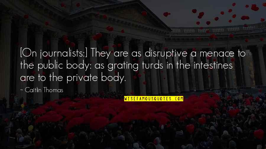 A Journalists Quotes By Caitlin Thomas: [On journalists:] They are as disruptive a menace