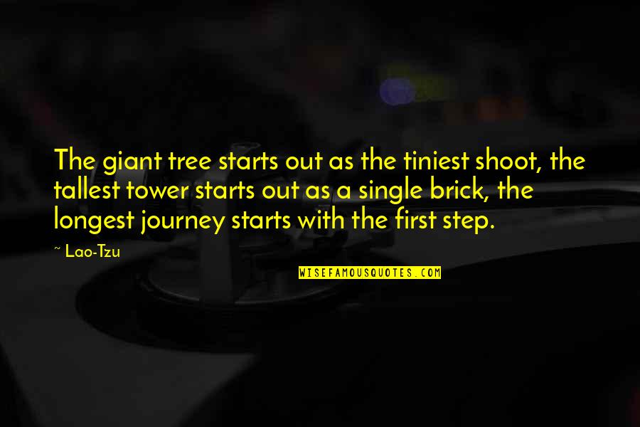 A Journey Starts With A Single Step Quotes By Lao-Tzu: The giant tree starts out as the tiniest A Journey Starts With A Single Step Quotes By Lao-Tzu: The giant tree starts out as the tiniest