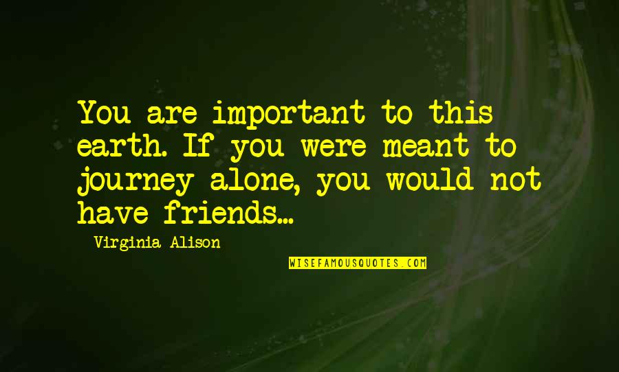 A Journey With Friends Quotes By Virginia Alison: You are important to this earth. If you A Journey With Friends Quotes By Virginia Alison: You are important to this earth. If you