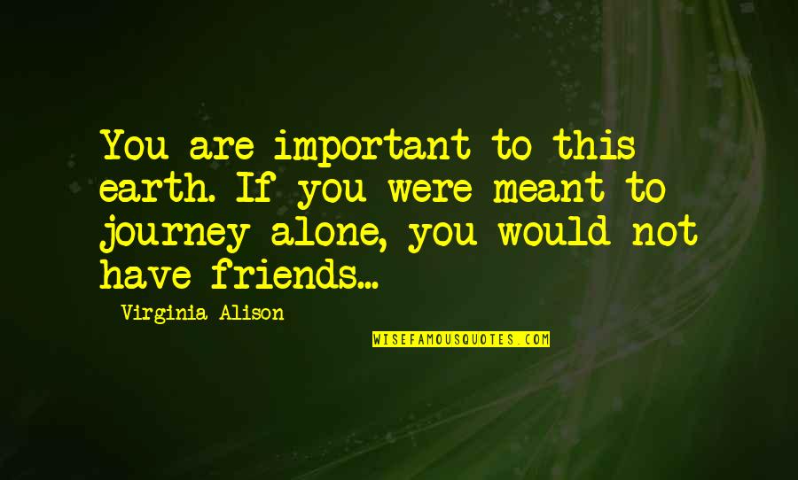 A Journey With Friends Quotes By Virginia Alison: You are important to this earth. If you