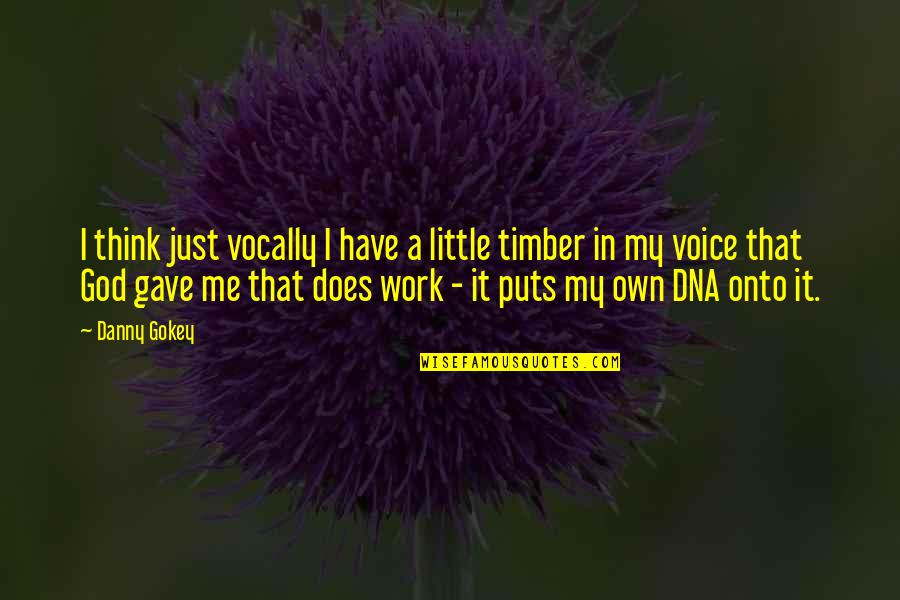 A Just God Quotes By Danny Gokey: I think just vocally I have a little A Just God Quotes By Danny Gokey: I think just vocally I have a little