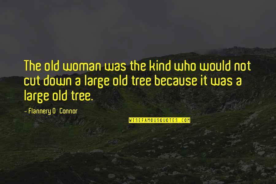 A Kind Woman Quotes By Flannery O'Connor: The old woman was the kind who would