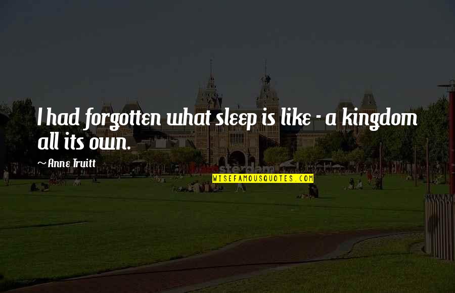 A Kingdom Quotes By Anne Truitt: I had forgotten what sleep is like -