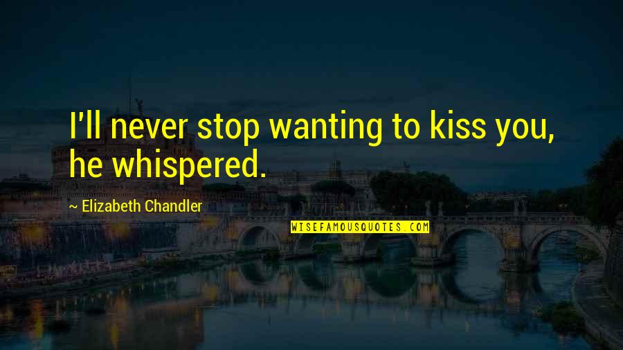 A Kiss In Time Quotes By Elizabeth Chandler: I'll never stop wanting to kiss you, he A Kiss In Time Quotes By Elizabeth Chandler: I'll never stop wanting to kiss you, he
