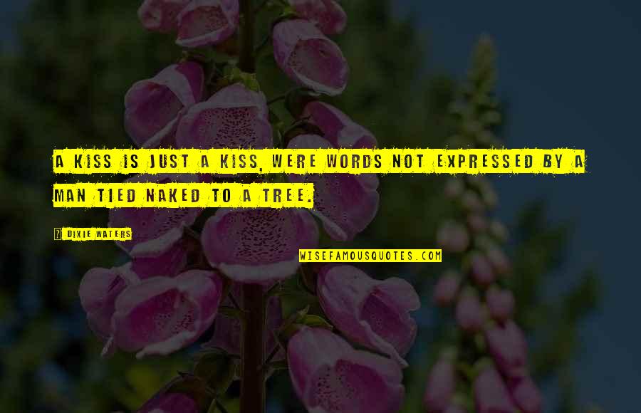 A Kiss Is Not Just A Kiss Quotes By Dixie Waters: A kiss is just a kiss, were words