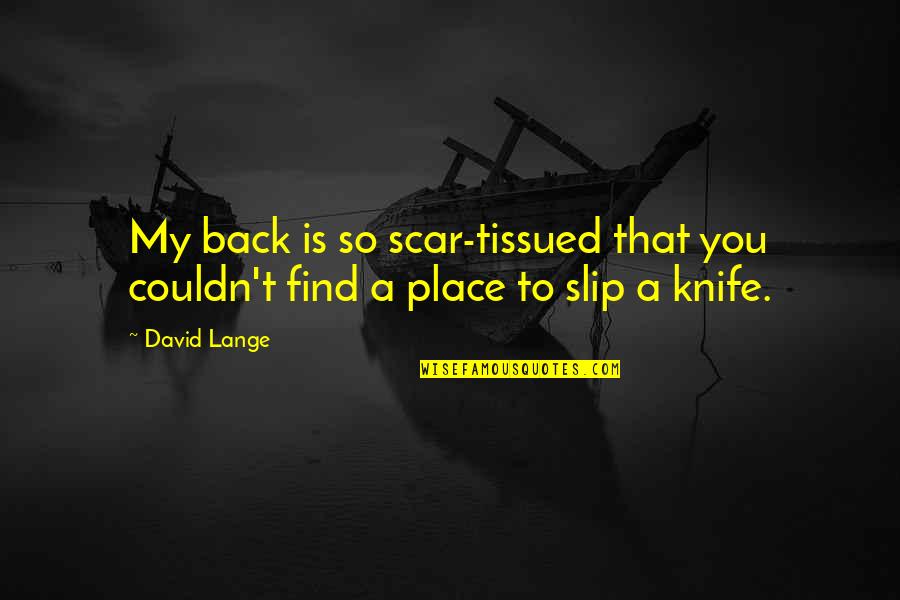 A Knife In The Back Quotes By David Lange: My back is so scar-tissued that you couldn't