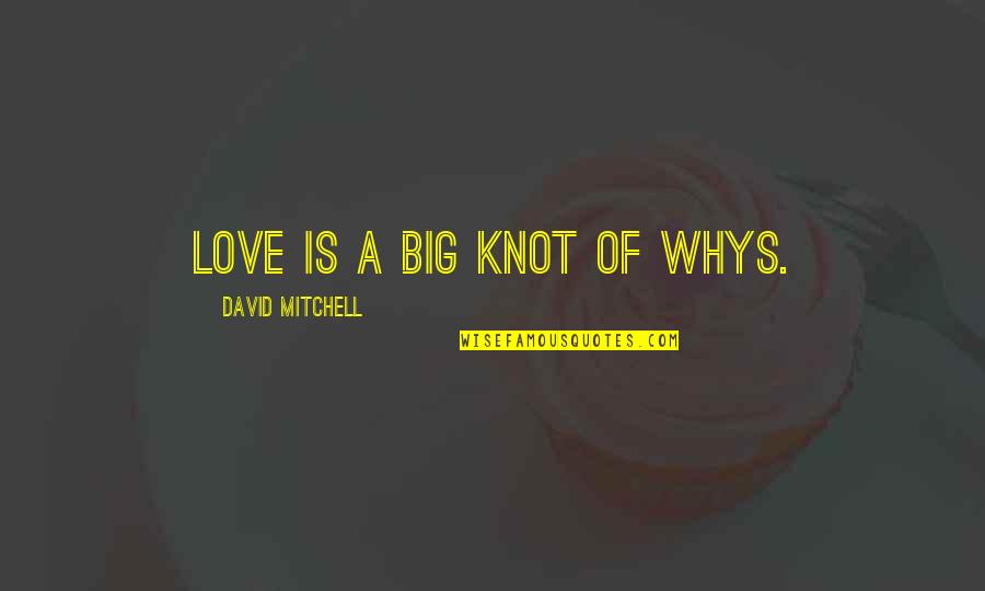A Knot Quotes By David Mitchell: Love is a big knot of whys.