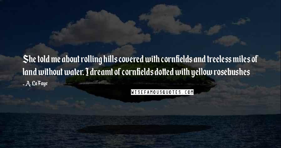 A. LaFaye quotes: She told me about rolling hills covered with cornfields and treeless miles of land without water. I dreamt of cornfields dotted with yellow rosebushes