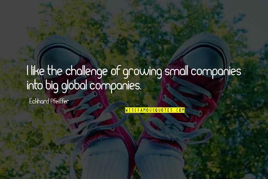 A Level Stress Quotes By Eckhard Pfeiffer: I like the challenge of growing small companies