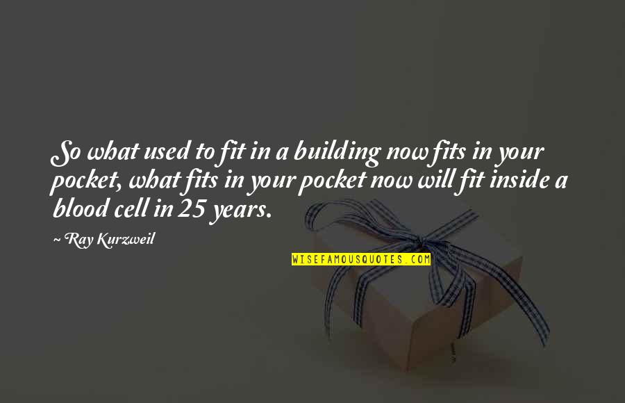 A Liar Boyfriend Quotes By Ray Kurzweil: So what used to fit in a building