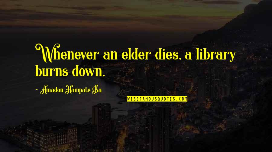 A Library Quotes By Amadou Hampate Ba: Whenever an elder dies, a library burns down.