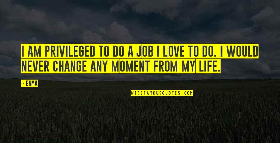 A Life Change Quotes By Enya: I am privileged to do a job I