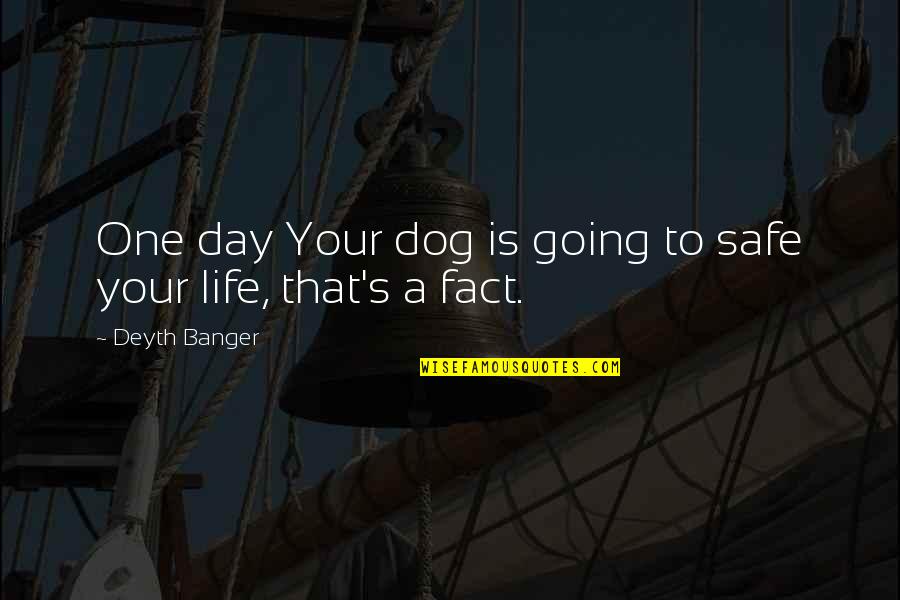 A Life Fact Quotes By Deyth Banger: One day Your dog is going to safe A Life Fact Quotes By Deyth Banger: One day Your dog is going to safe