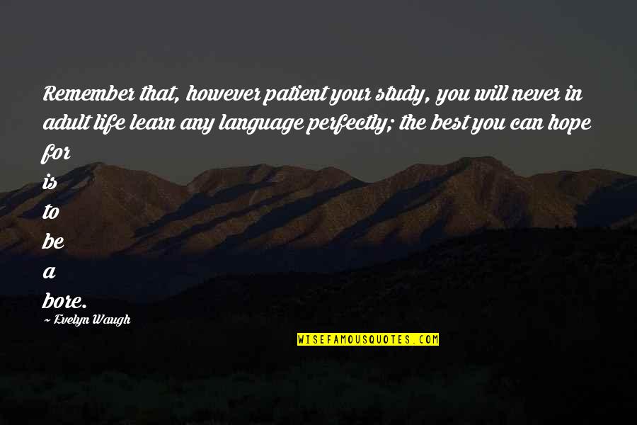 A Life For A Life Quotes By Evelyn Waugh: Remember that, however patient your study, you will A Life For A Life Quotes By Evelyn Waugh: Remember that, however patient your study, you will