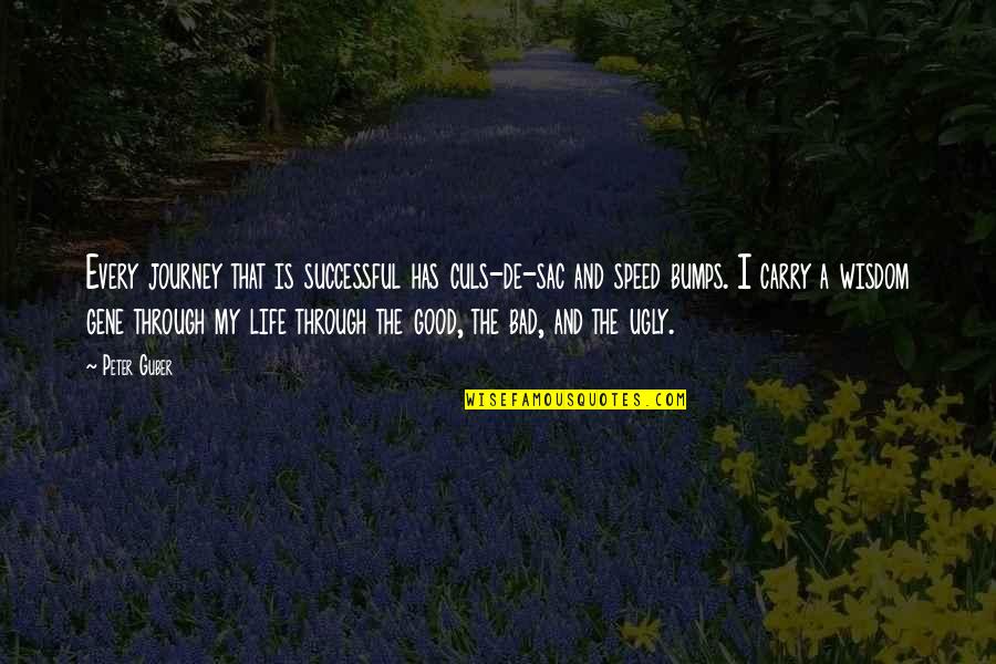 A Life Journey Quotes By Peter Guber: Every journey that is successful has culs-de-sac and A Life Journey Quotes By Peter Guber: Every journey that is successful has culs-de-sac and