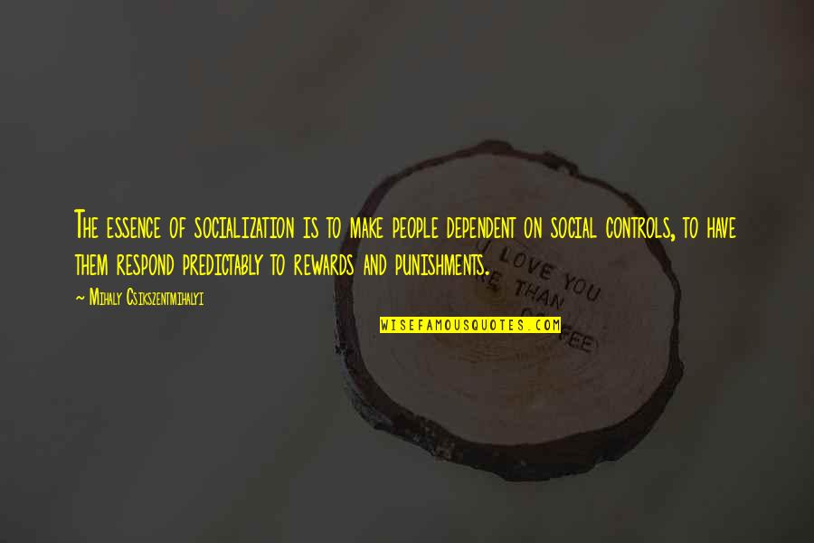 A Life Less Ordinary Quotes By Mihaly Csikszentmihalyi: The essence of socialization is to make people A Life Less Ordinary Quotes By Mihaly Csikszentmihalyi: The essence of socialization is to make people