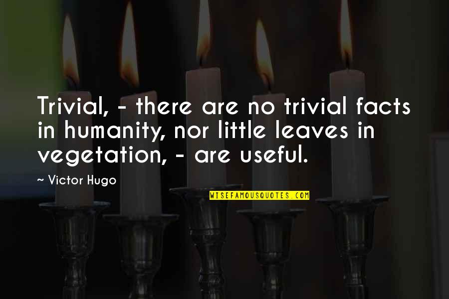 A Lifetime Friend Quotes By Victor Hugo: Trivial, - there are no trivial facts in