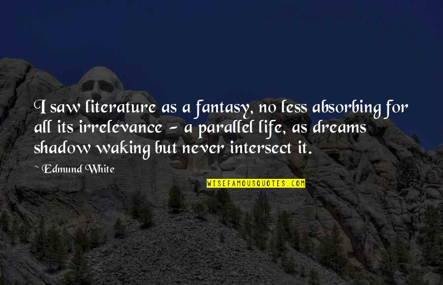 A Lifting Of The Veil Quotes By Edmund White: I saw literature as a fantasy, no less