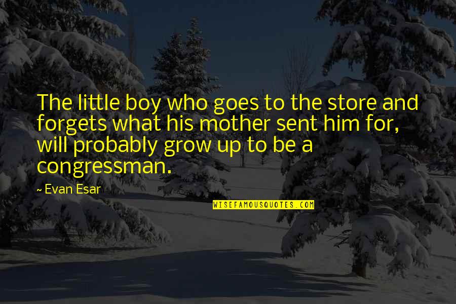 A Little Boy Growing Up Quotes By Evan Esar: The little boy who goes to the store