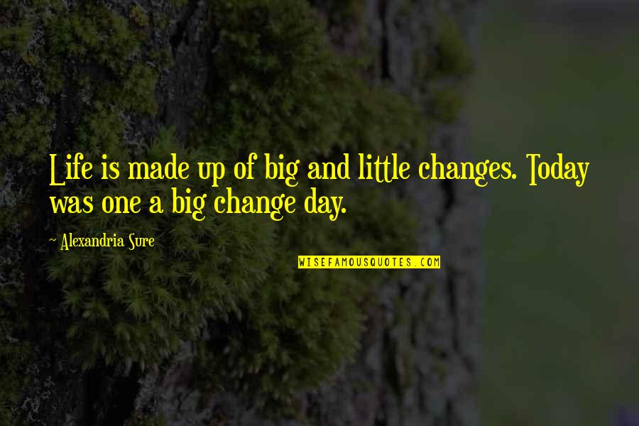 A Little Change Quotes By Alexandria Sure: Life is made up of big and little