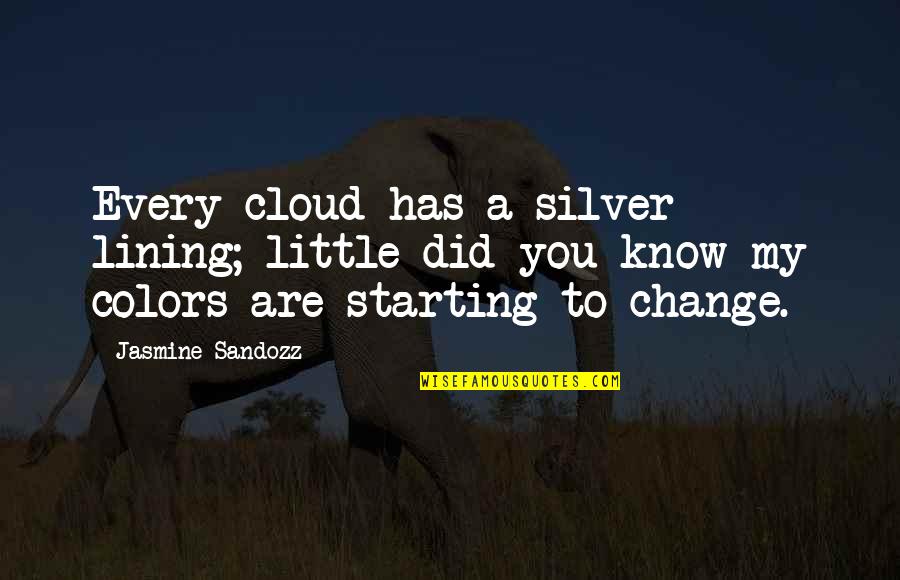 A Little Change Quotes By Jasmine Sandozz: Every cloud has a silver lining; little did