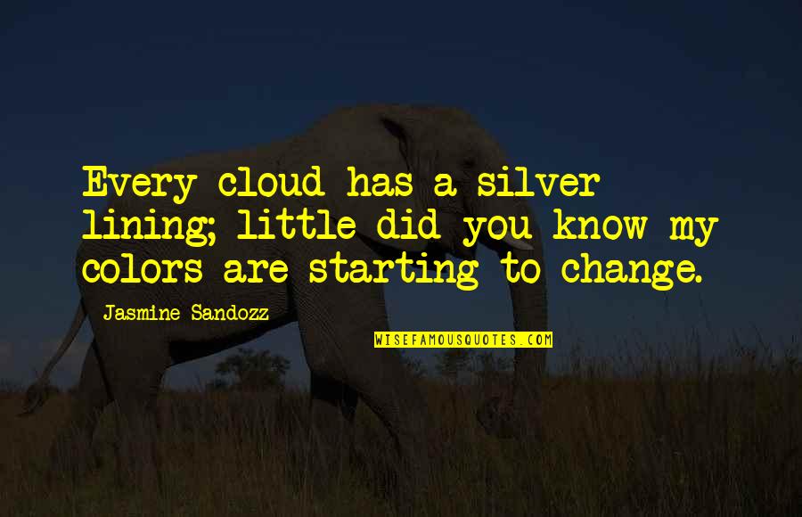 A Little Cloud Quotes By Jasmine Sandozz: Every cloud has a silver lining; little did