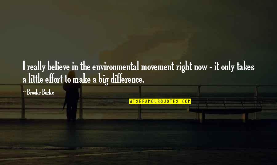 A Little Effort Quotes By Brooke Burke: I really believe in the environmental movement right