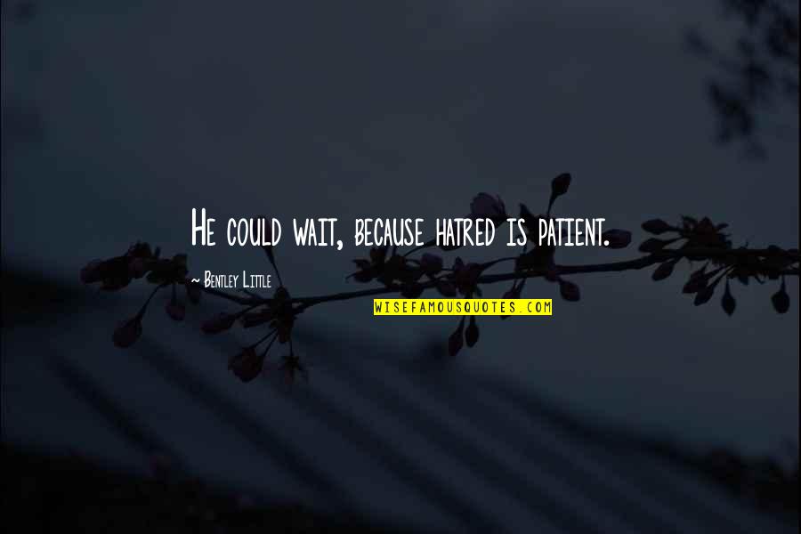A Little Hatred Quotes By Bentley Little: He could wait, because hatred is patient.