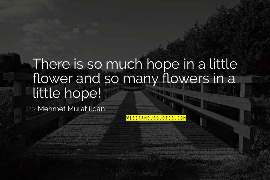 A Little Hope Quotes By Mehmet Murat Ildan: There is so much hope in a little