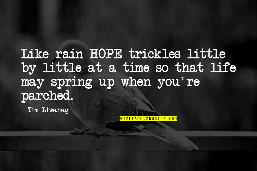 A Little Hope Quotes By Tim Liwanag: Like rain HOPE trickles little by little at