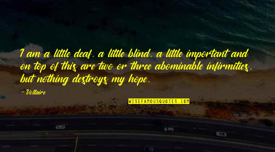 A Little Hope Quotes By Voltaire: I am a little deaf, a little blind,