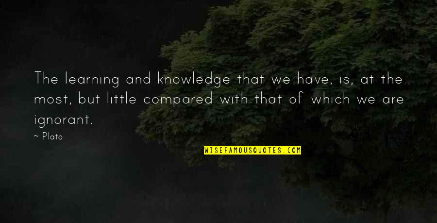 A Little Learning Quotes By Plato: The learning and knowledge that we have, is,