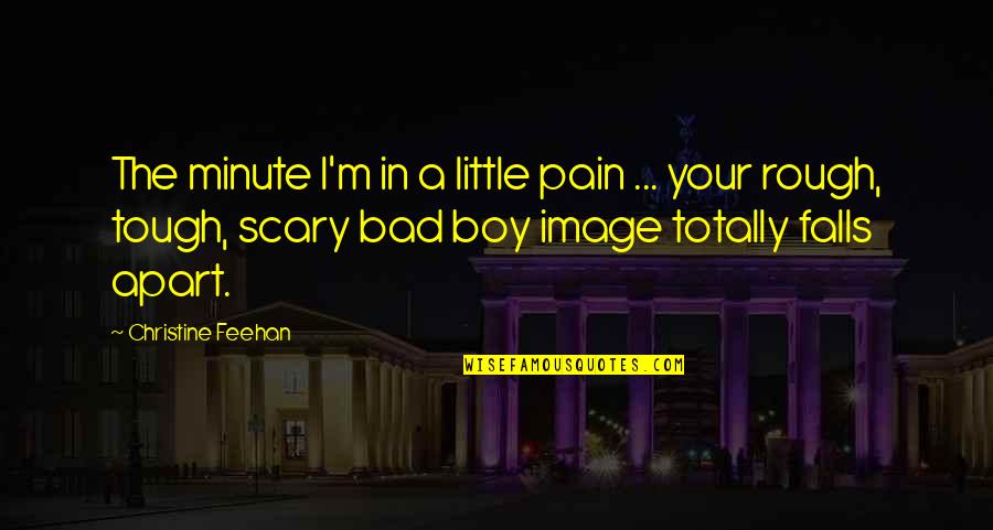 A Little Romance Quotes By Christine Feehan: The minute I'm in a little pain ...