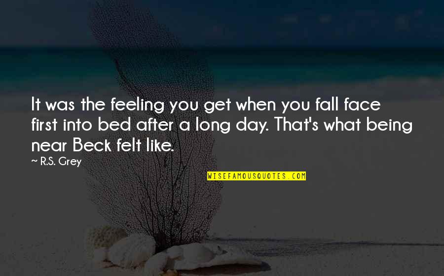 A Long Day Quotes By R.S. Grey: It was the feeling you get when you
