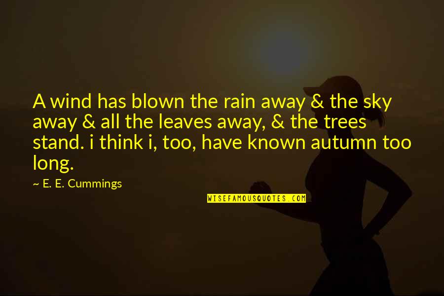 A Long Inspirational Quotes By E. E. Cummings: A wind has blown the rain away &