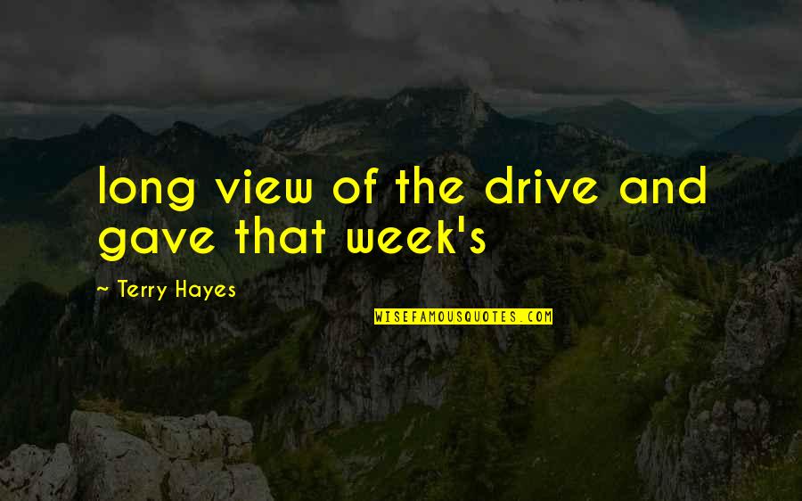 A Long Week Quotes By Terry Hayes: long view of the drive and gave that