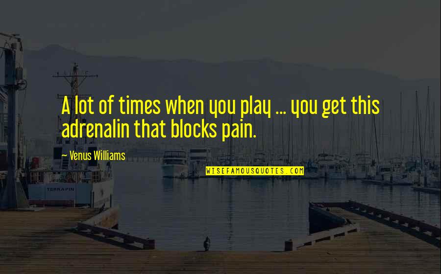 A Lot Of Pain Quotes By Venus Williams: A lot of times when you play ...